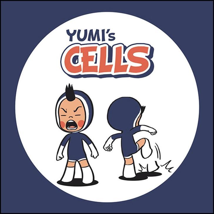 Yumi's Cells 52