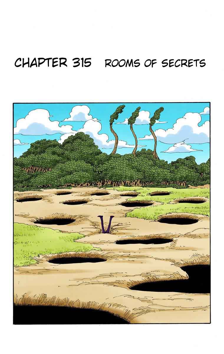 One Piece - Digital Colored Comics Vol.33 Ch.315