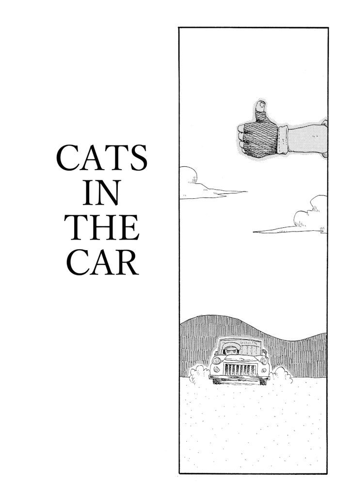 Cat in the Car 61