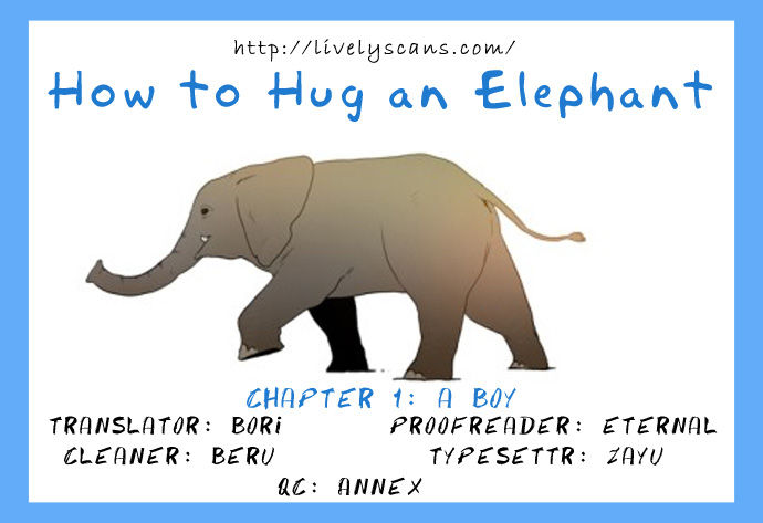 How to Hug an Elephant 1