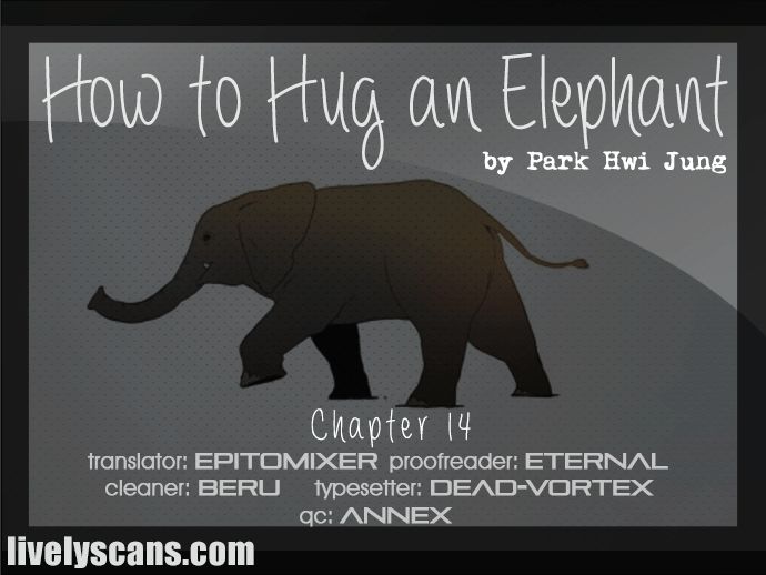 How to Hug an Elephant 14