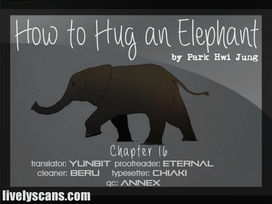 How to Hug an Elephant 16