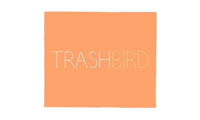Trash Bird 17