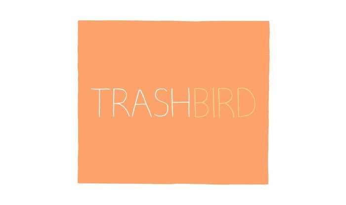 Trash Bird 21