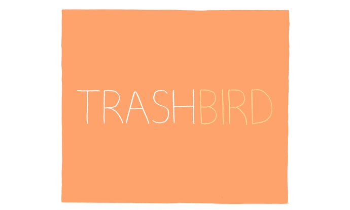Trash Bird 27