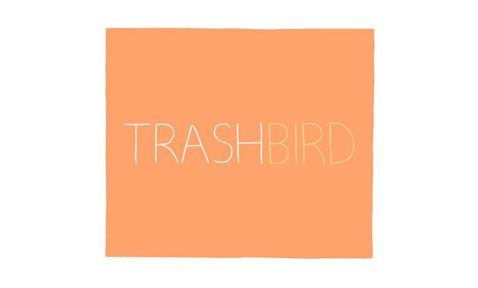 Trash Bird 29
