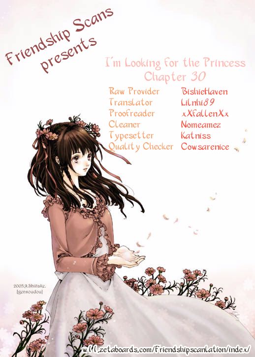 I'm Looking for the Princess 30