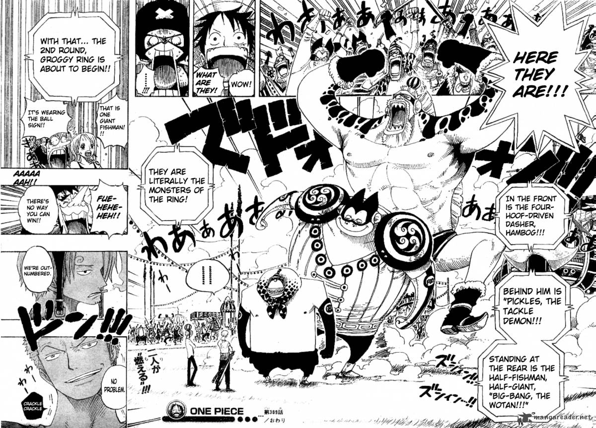 One Piece 309