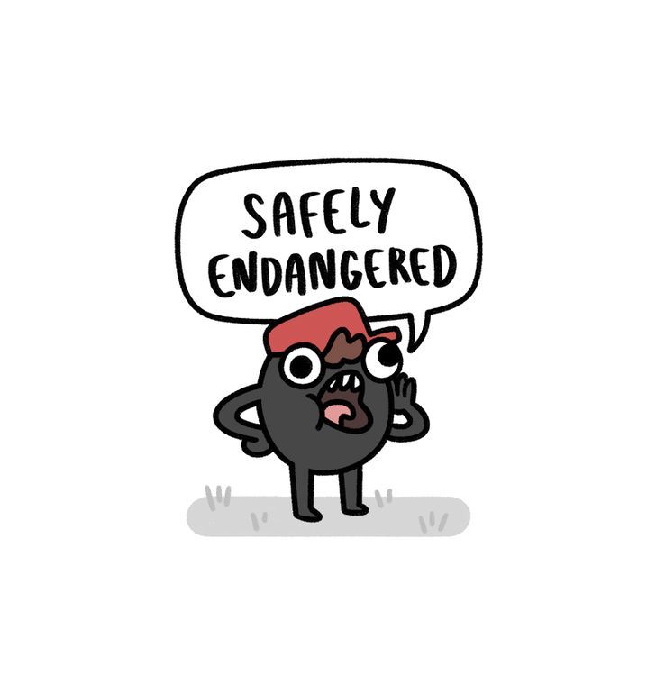 Safely Endangered 53