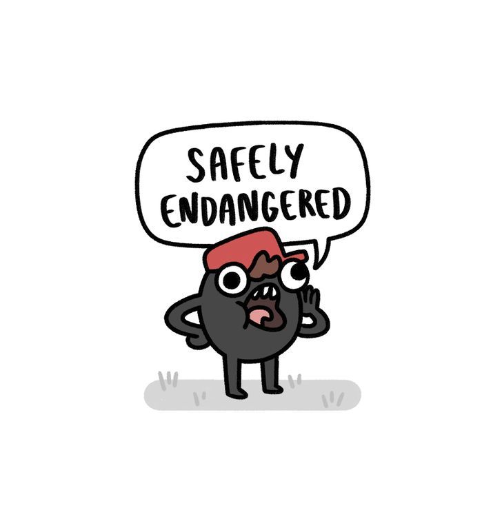 Safely Endangered 54