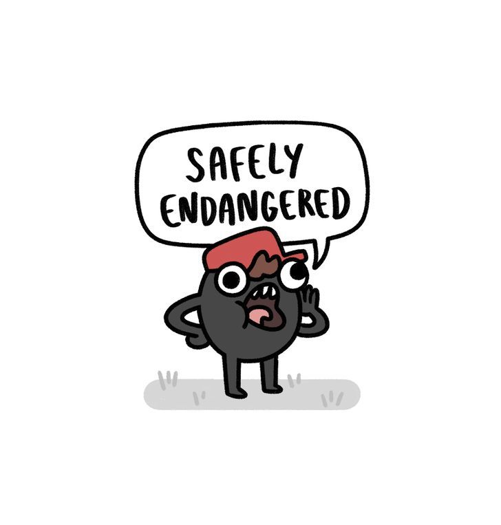 Safely Endangered 55
