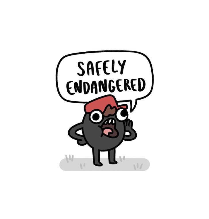 Safely Endangered 57