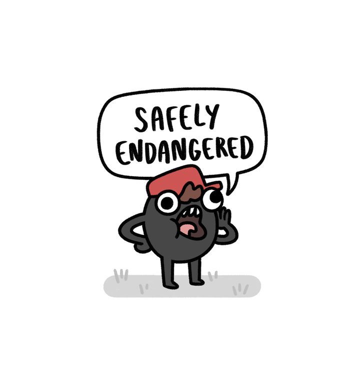 Safely Endangered 62