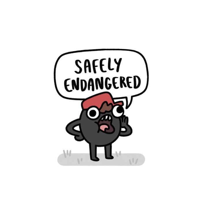 Safely Endangered 66