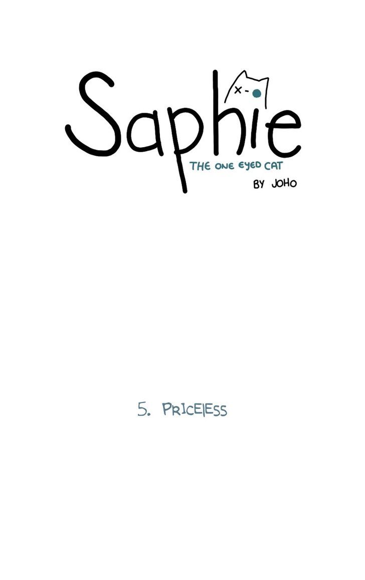 Saphie: The One-Eyed Cat 5