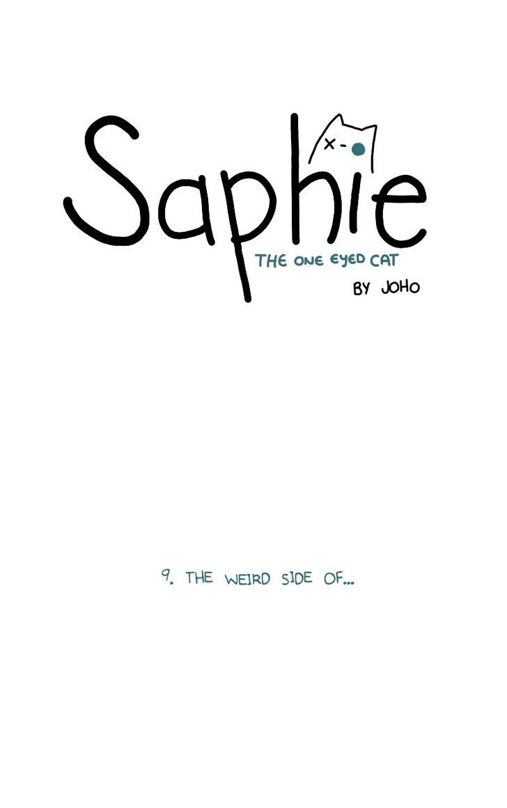 Saphie: The One-Eyed Cat 9