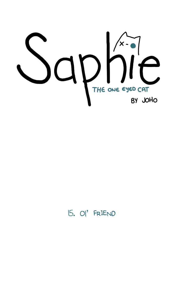 Saphie: The One-Eyed Cat 15
