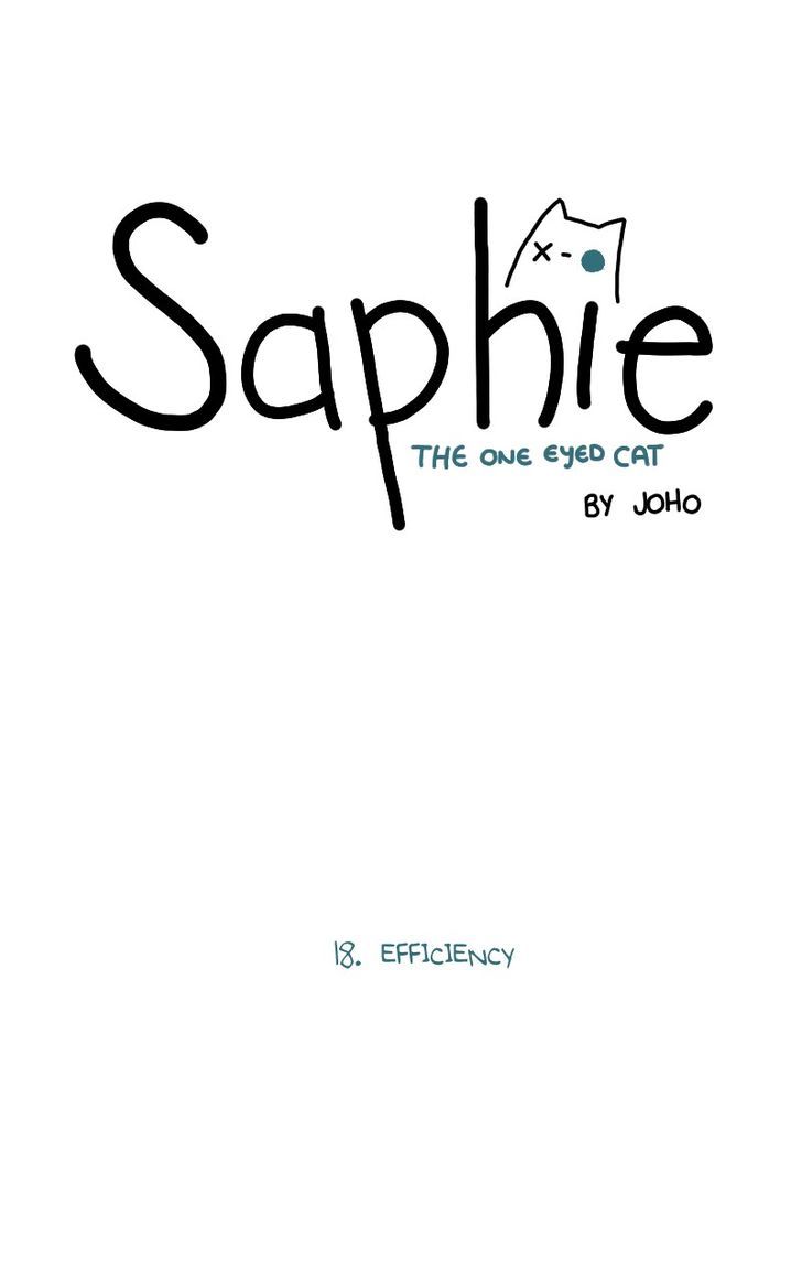 Saphie: The One-Eyed Cat 18