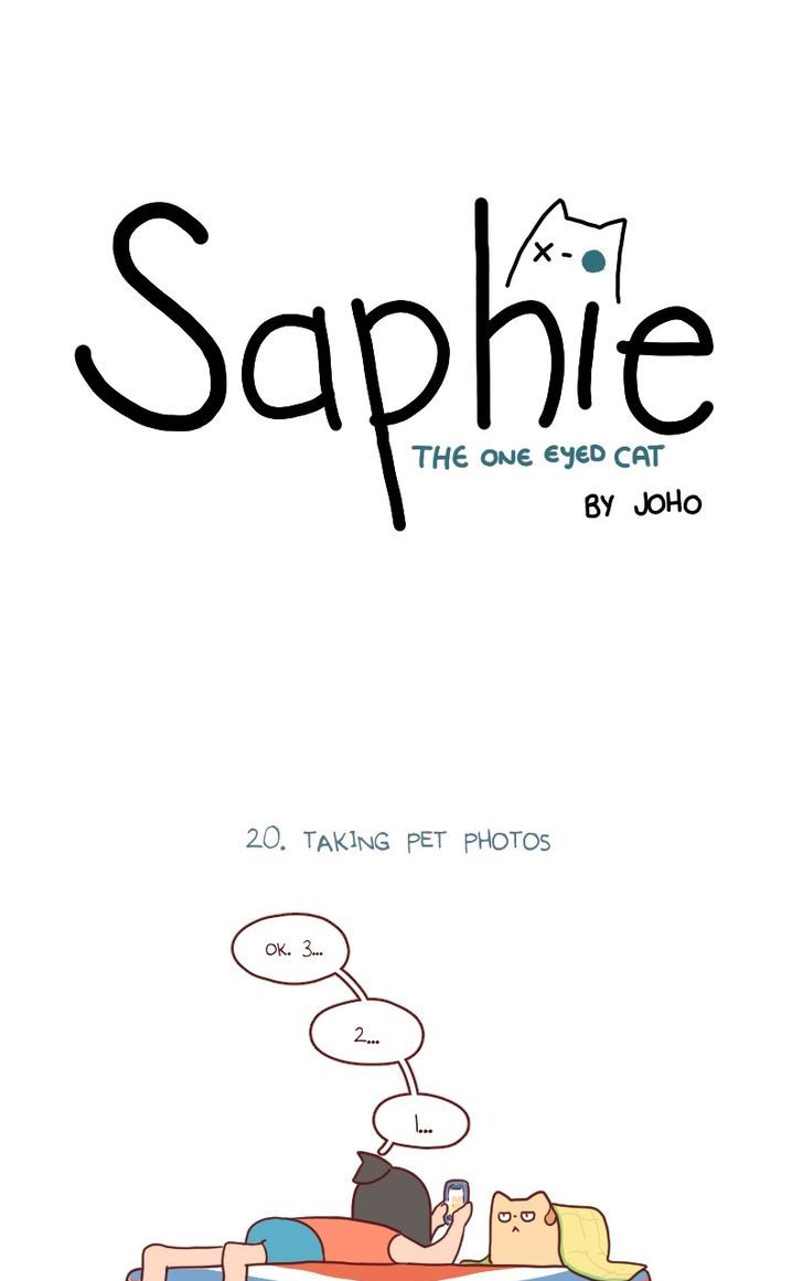 Saphie: The One-Eyed Cat 20