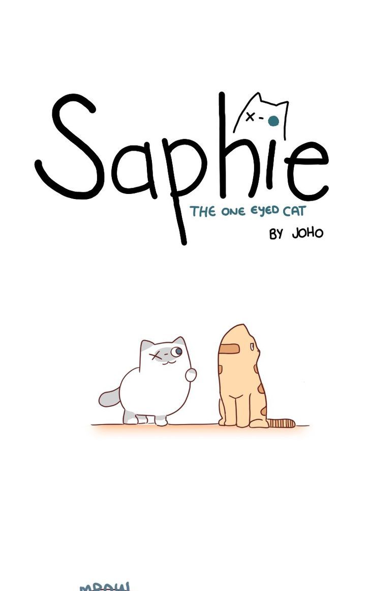 Saphie: The One-Eyed Cat 22
